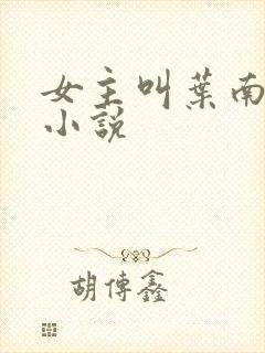 女主叫叶南初的小说