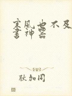 寒风也不及她追书神器