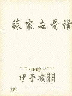 苏家屯爱情故事