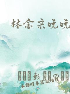 林念宋晚晚小说