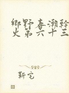 乡野春潮干柴烈火第六十三章