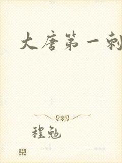 大唐第一刺局