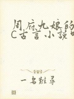 周府九娘的NPC古言小说叫什么
