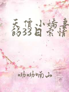 天价小娇妻总裁的33日索情