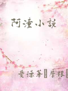 阿潼小说