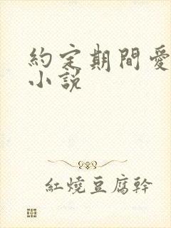 约定期间爱上你小说