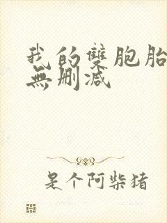 我的双胞胎老婆无删减