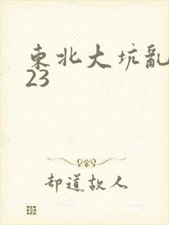东北大坑乱1—23