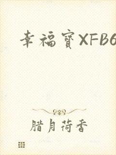 幸福宝XFB6