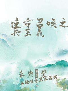 使命召唤之大炮兵主义