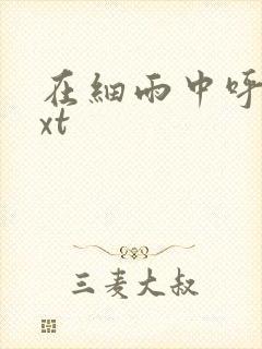 在细雨中呼喊txt