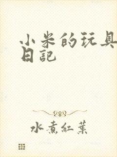 小米的玩具羞辱日记