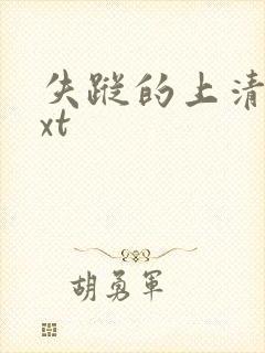 失踪的上清寺txt