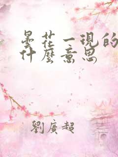 昙花一现的现是什么意思