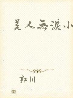 美人无泪小说