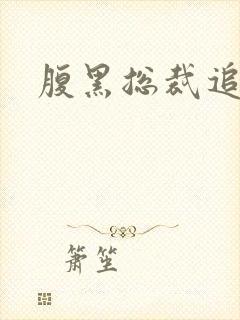 腹黑总裁追娇妻