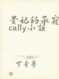 贵妃的承宠日常cally小说