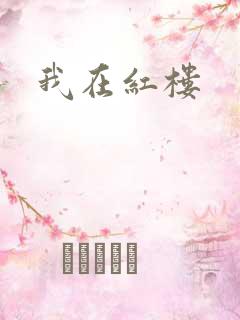 我在红楼