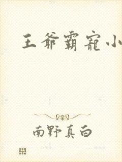 王爷霸宠小甜妻