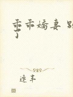 乖乖娇妻 别闹了