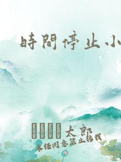 时间停止小说