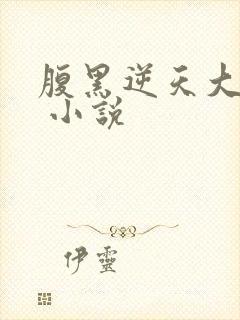 腹黑逆天大小姐 小说