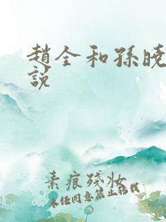 赵全和孙晓云小说