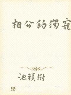 相公的独宠妻子