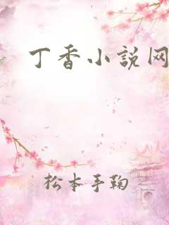 丁香小说网