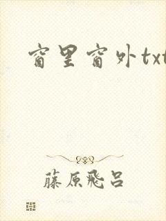 窗里窗外txt