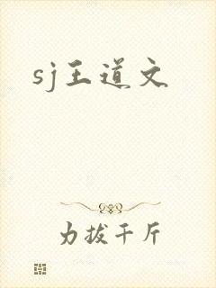 sj王道文