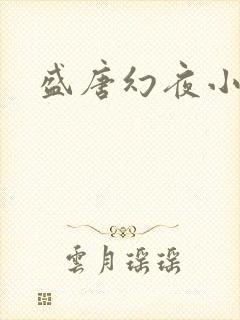 盛唐幻夜小说