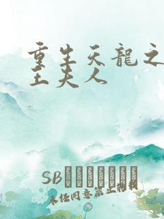 重生天龙之推倒王夫人