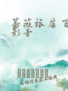 蔷薇旅店 百度影音