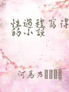 性过程写得详细的小说