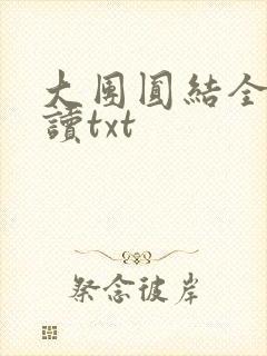 大团圆结全文阅读txt