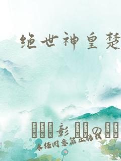 绝世神皇楚风