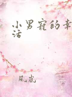 小男宠的幸福生活