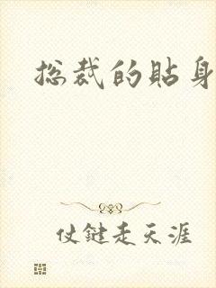 总裁的贴身玩宠