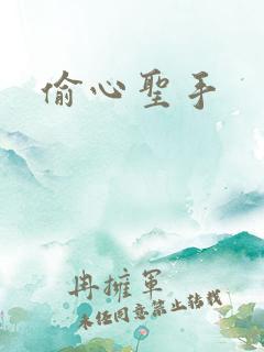 偷心圣手