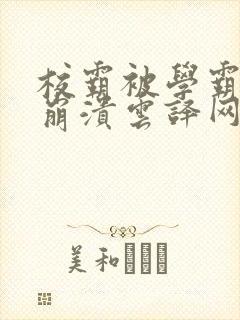 校霸被学霸玩到崩溃云译网