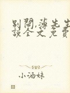 别闹,薄先生小说全文免费阅读