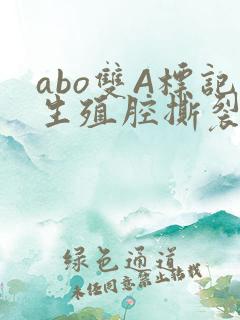 abo双A标记生殖腔撕裂