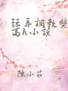 玩弄调教双胞胎高h小说