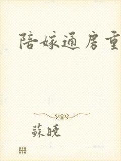 陪嫁通房重生记