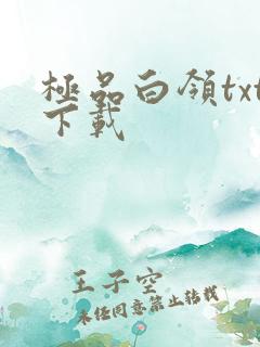 极品白领txt下载