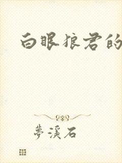 白眼狼君的小说
