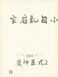 家庭乱日小说