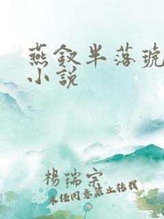 燕钗半落琥珀糖小说