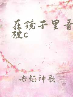 在镜子里看自己被c